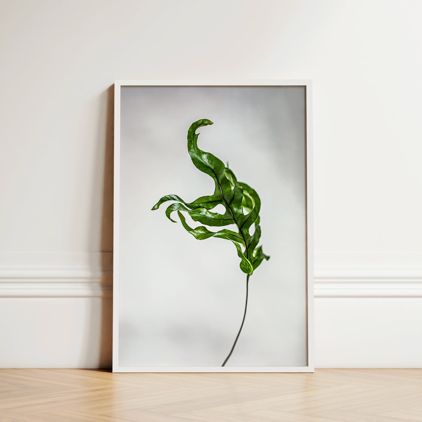 Botanic Still Life collection - fern leave