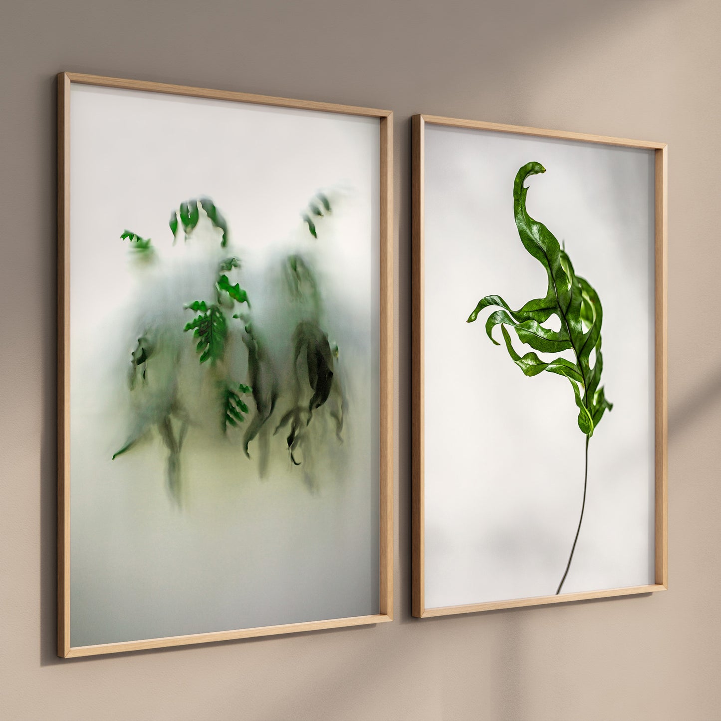 Botanic Still Life collection - hanging fern